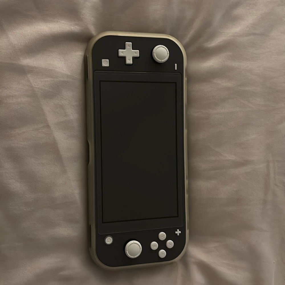 Nintendo switch lite with clear case and black carrier case